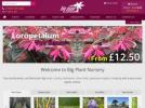 Big Plant Nursery Discount Code